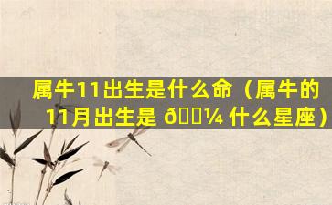属牛11出生是什么命（属牛的11月出生是 🐼 什么星座）